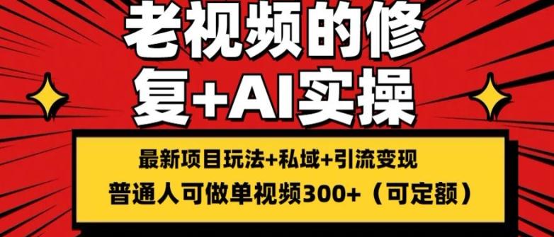 修复老视频的玩法，搬砖+引流的变现(可持久)，单条收益300+【揭秘】-爱我搜(25so)资源网