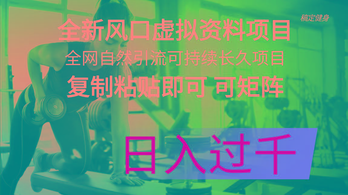 全新风口虚拟资料项目 全网自然引流可持续长久项目 复制粘贴即可可矩阵…-爱我搜(25so)资源网