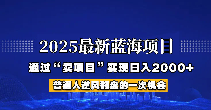 2025年蓝海项目，如何通过“网创项目”日入2000+-爱我搜(25so)资源网