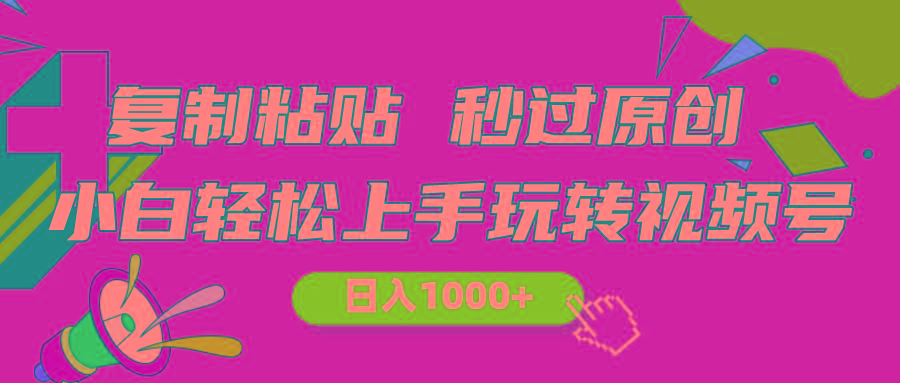 视频号新玩法 小白可上手 日入1000+-爱我搜(25so)资源网