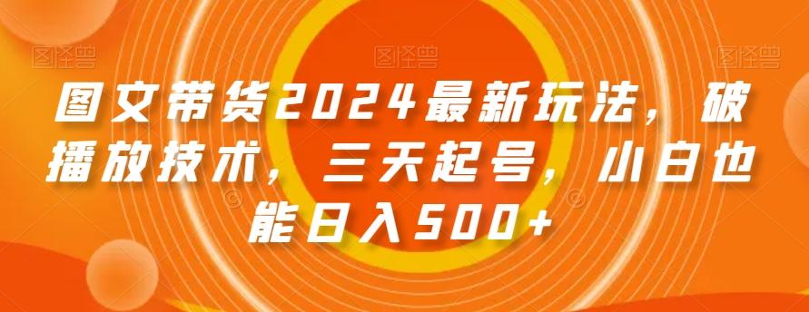 图文带货2024最新玩法，破播放技术，三天起号，小白也能日入500+【揭秘】-爱我搜(25so)资源网