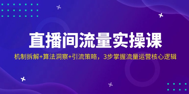直播间流量实操课：机制拆解+算法洞察+引流策略，3步掌握流量运营核心逻辑-爱我搜(25so)资源网