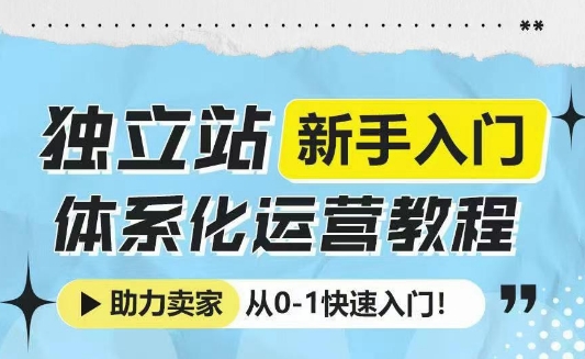 独立站新手入门体系化运营教程，助力独立站卖家从0-1快速入门!-爱我搜(25so)资源网