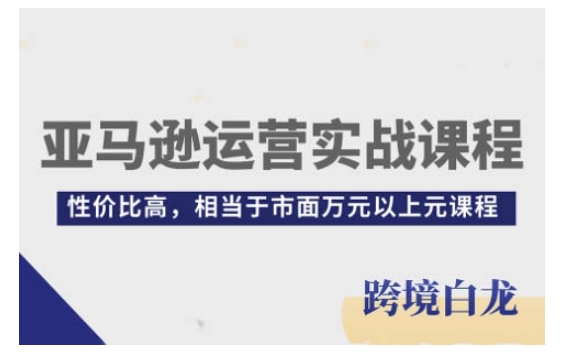 亚马逊运营实战课程，亚马逊从入门到精通，性价比高，相当于市面万元以上元课程-爱我搜(25so)资源网