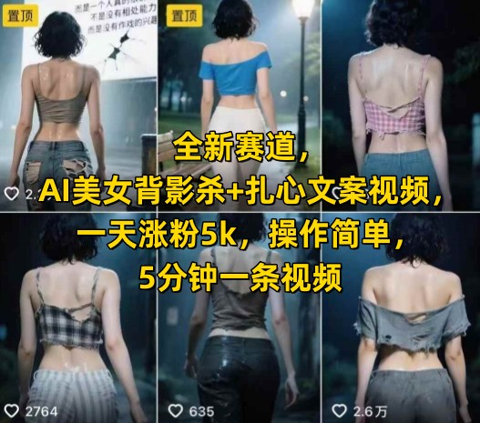 全新赛道，AI美女背影杀+扎心文案视频，一天涨粉5k，操作简单，5分钟一条视频-爱我搜(25so)资源网