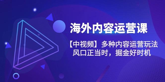 海外内容 运营课【中视频】多种内容运营玩法 风口正当时 掘金好时机-101节-爱我搜(25so)资源网