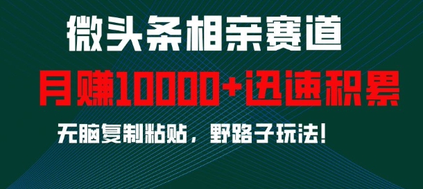 微头条相亲赛道，迅速积累，无脑复制粘贴，野路子玩法，月入1w-爱我搜(25so)资源网