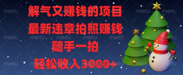 解气又挣钱的项目，最新违章拍照挣钱，随手一拍，轻松收入数张【揭秘】-爱我搜(25so)资源网