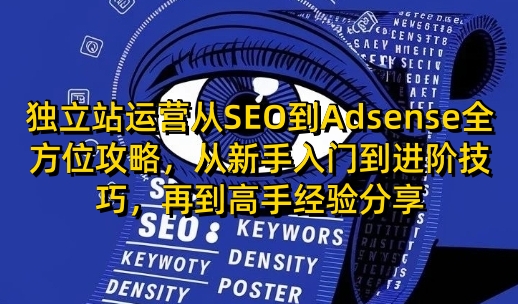 独立站运营从SEO到Adsense全方位攻略，从新手入门到进阶技巧，再到高手经验分享-爱我搜(25so)资源网