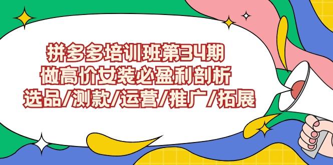 (9333期)拼多多培训班第34期：做高价女装必盈利剖析  选品/测款/运营/推广/拓展-爱我搜(25so)资源网