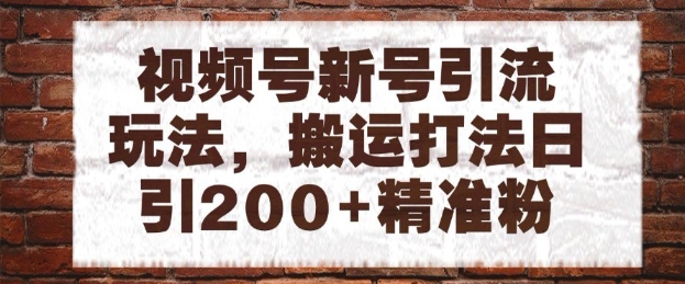 视频号新号引流玩法，搬运打法日引200+精准粉，可矩阵放大【揭秘】-爱我搜(25so)资源网