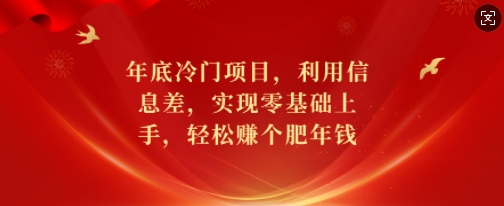 年底冷门项目，利用信息差，实现零基础上手，轻松赚个肥年钱【揭秘】-爱我搜(25so)资源网