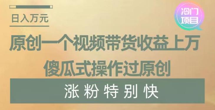 原创一个视频带货收益上万，傻瓜式操作过原创，几分钟做一个视频涨粉特别快【揭秘】-爱我搜(25so)资源网