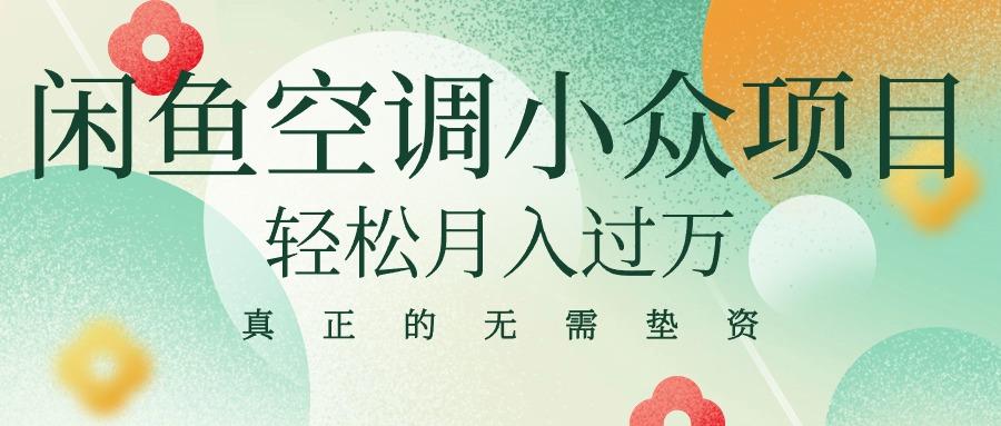闲鱼卖空调小众项目 轻松月入过万 真正的无需垫资金-爱我搜(25so)资源网