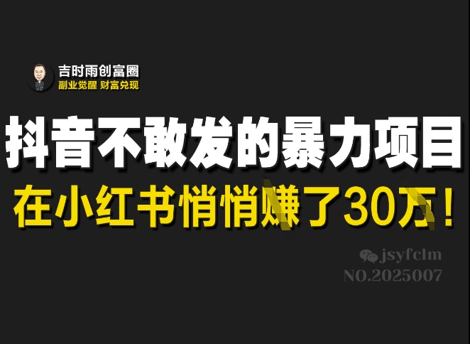 抖音不敢发的暴利项目，在小红书悄悄挣了30W-爱我搜(25so)资源网