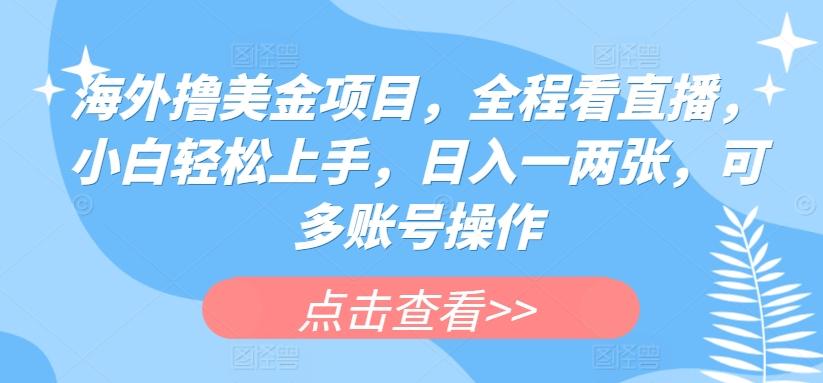 海外撸美金项目，全程看直播，小白轻松上手，日入一两张，可多账号操作【揭秘】-爱我搜(25so)资源网