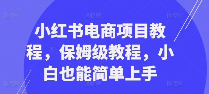 小红书电商项目教程，保姆级教程，小白也能简单上手-爱我搜(25so)资源网