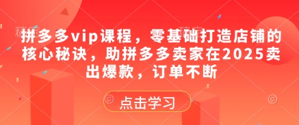 拼多多vip课程，零基础打造店铺的核心秘诀，助拼多多卖家在2025卖出爆款，订单不断-爱我搜(25so)资源网