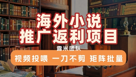 海外小说推广返利项目，视频投喂， 一刀不剪，矩阵批量-爱我搜(25so)资源网