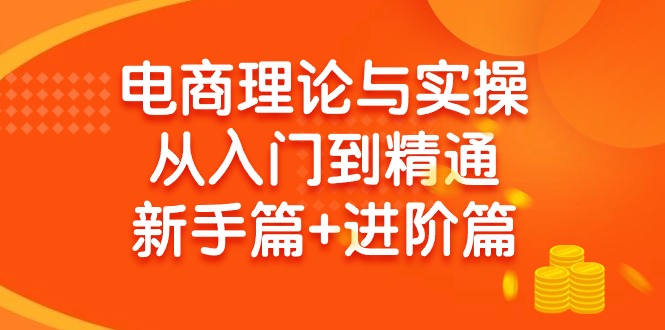 (9576期)电商理论与实操从入门到精通 新手篇+进阶篇-爱我搜(25so)资源网