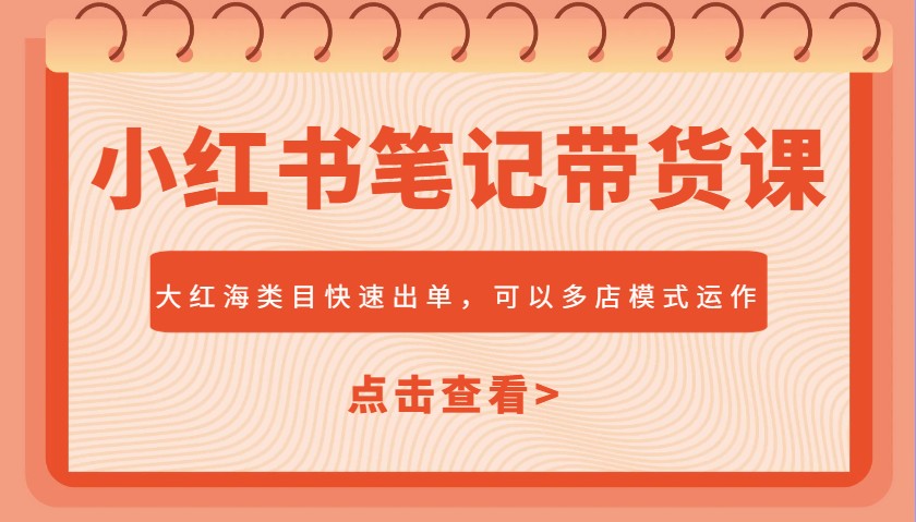 小红书笔记带货课，大红海类目快速出单，市场大，可以多店模式运作-爱我搜(25so)资源网