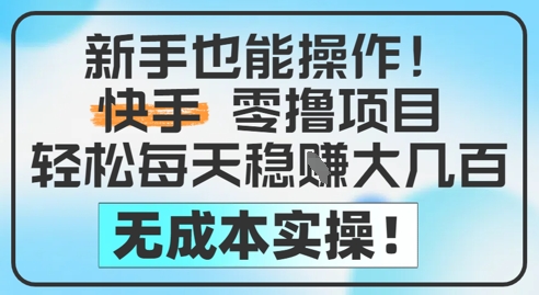 新手也能操作，快手零撸挣米，轻松每天挣2-5张，完全无成本-爱我搜(25so)资源网