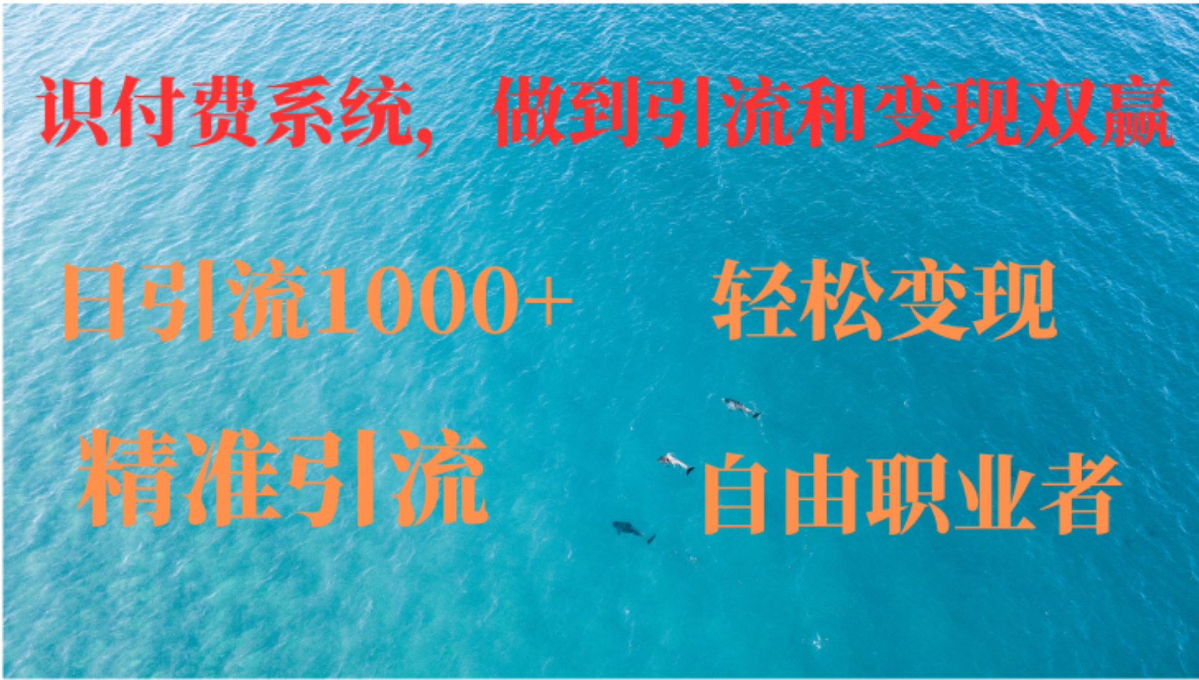 如何搭建自己的知识付费系统，做到引流和变现双赢-爱我搜(25so)资源网