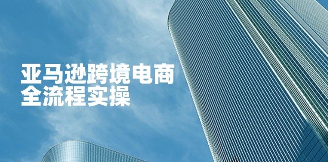 亚马逊跨境电商全流程实操，教你从零开始，掌握店铺运营与广告技巧-爱我搜(25so)资源网