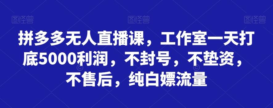 拼多多无人直播课，工作室一天打底5000利润，不封号，不垫资，不售后，纯白嫖流量-爱我搜(25so)资源网