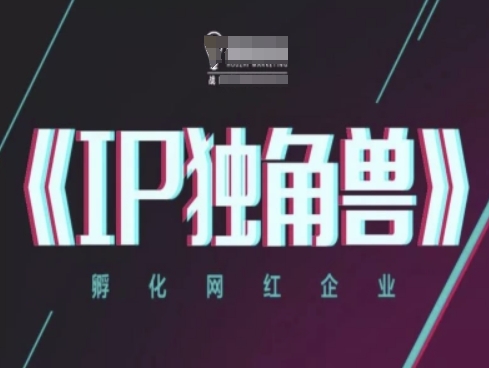 IP独角兽，孵化网红企业，ip教程-爱我搜(25so)资源网