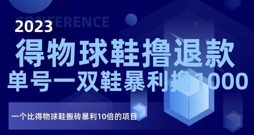 2023得物球鞋撸退款，单号一双鞋暴利撸1000，一个比得物球鞋搬砖暴利10倍的项目【揭秘】-爱我搜(25so)资源网