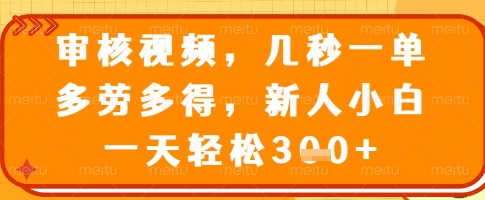 审核视频，几秒一单，多劳多得，新人小白一天轻松3张【揭秘】-爱我搜(25so)资源网