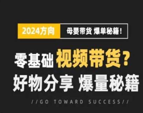 短视频母婴赛道实操流量训练营，零基础视频带货，好物分享，爆量秘籍-爱我搜(25so)资源网
