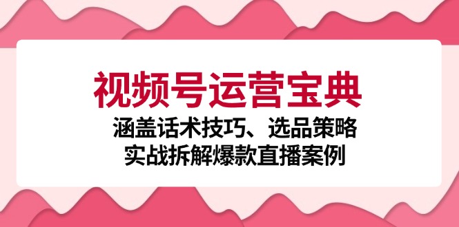 视频号运营宝典：涵盖话术技巧、选品策略、实战拆解爆款直播案例-爱我搜(25so)资源网