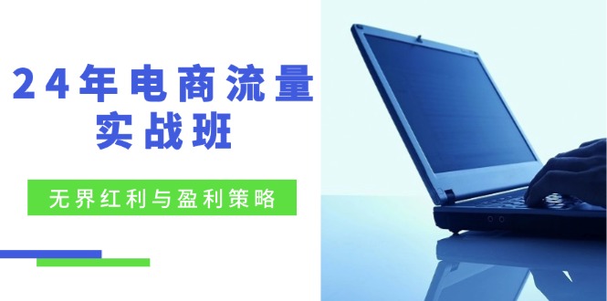24年电商流量实战班：无界 红利与盈利策略，终极提升/关键词优化/精准…-爱我搜(25so)资源网