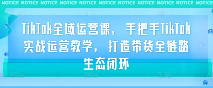 TikTok全域运营课，手把手TikTok实战运营教学，打造带货全链路生态闭环-爱我搜(25so)资源网