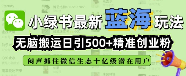小绿书无脑搬运引流，全自动日引500精准创业粉，微信生态内又一个闷声发财的机会-爱我搜(25so)资源网