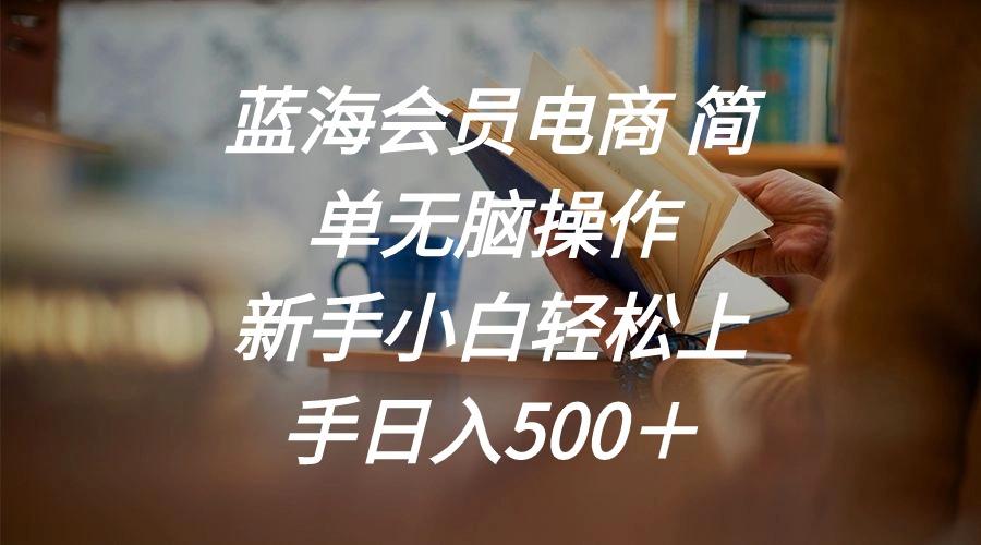 蓝海会员电商 简单无脑操作 新手小白轻松上手日入500＋-爱我搜(25so)资源网