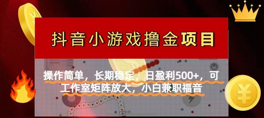 【抖音小游戏发行人计划项目】操作简单，长期稳定，日盈利500+，可工作…-爱我搜(25so)资源网