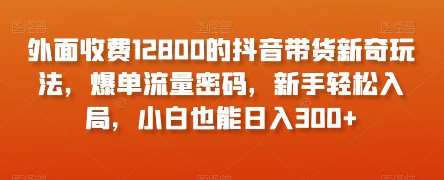 外面收费12800的抖音带货新奇玩法，爆单流量密码，新手轻松入局，小白也能日入300+【揭秘】-爱我搜(25so)资源网