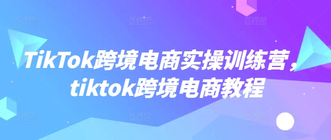 TikTok跨境电商实操训练营，tiktok跨境电商教程-爱我搜(25so)资源网