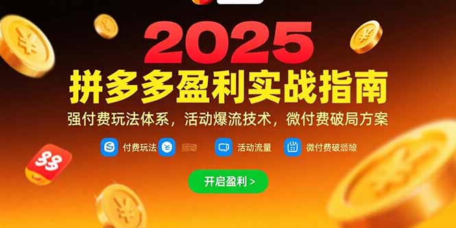 拼多多盈利实战指南，强付费玩法，活动爆流技术，微付费破局方案(更新7月-爱我搜(25so)资源网