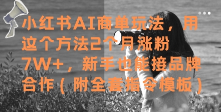 小红书AI商单玩法，用这个方法2个月涨粉7W+，新手也能接品牌合作(附全套指令模板)-爱我搜(25so)资源网
