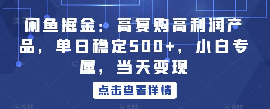 闲鱼掘金：高复购高利润产品，单日稳定500+，小白专属，当天变现-爱我搜(25so)资源网