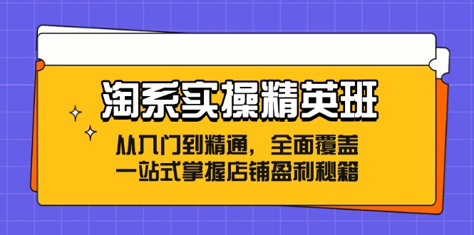 淘系实操精英班：从入门到精通，全面覆盖，一站式掌握店铺盈利秘籍-爱我搜(25so)资源网