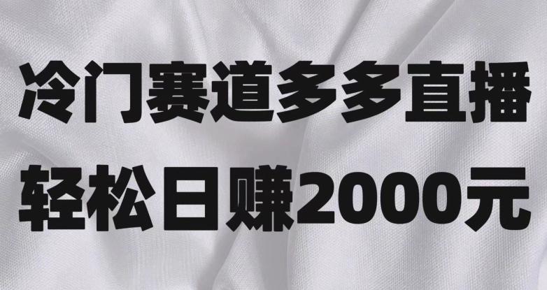 冷门赛道拼多多直播，简单念稿子，日收益2000＋【揭秘】-爱我搜(25so)资源网