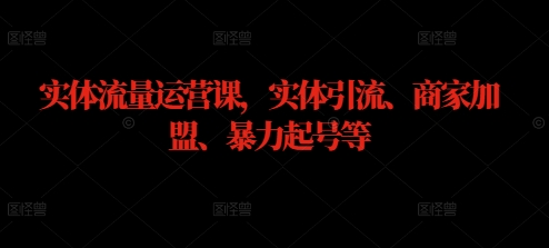 实体流量运营课，实体引流、商家加盟、暴力起号等-爱我搜(25so)资源网