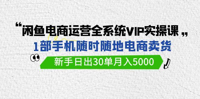 (9547期)闲鱼电商运营全系统VIP实战课，1部手机随时随地卖货，新手日出30单月入5000-爱我搜(25so)资源网