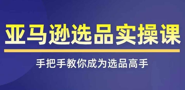 亚马逊选品实操课程，快速掌握亚马逊选品的技巧，覆盖亚马逊选品所有渠道-爱我搜(25so)资源网