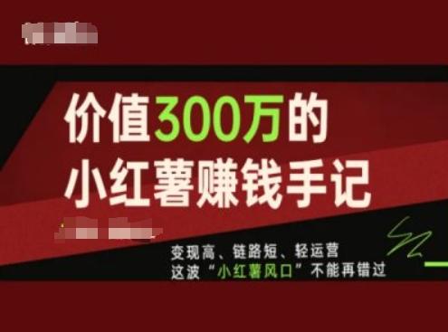 价值300万的小红书赚钱手记，变现高、链路短、轻运营，这波“小红薯风口”不能再错过-爱我搜(25so)资源网
